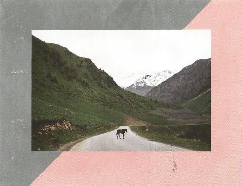 Тайгер Бейби