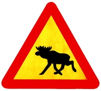 Шведский Элк Брю