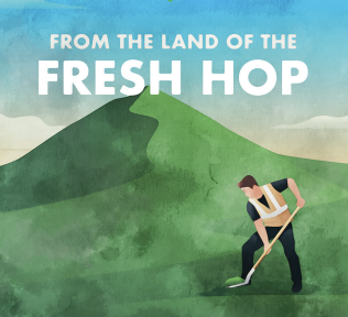 Скайфайндер