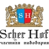 Пилснер