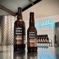 Литсе Бюке Баас - Вихтер Триппель