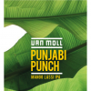 Панджаби Панч
