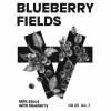Блюберри Филдс