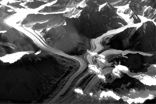 Русский Империал Стаут