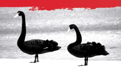 Двойной ИПА - Мозаик Крио