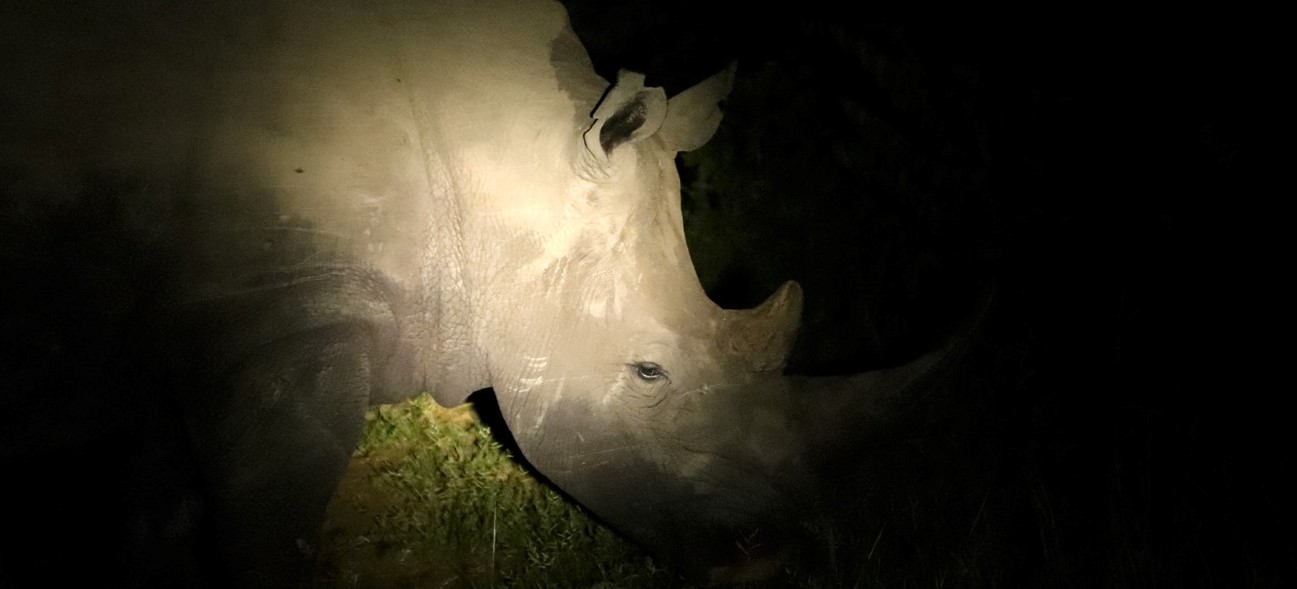 Русский Империал Стаут - Бурбон Баррел Эйджд