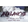 Нью-Ингленд Аваланч