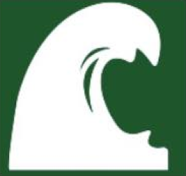 Кастомс Премиум Лагер