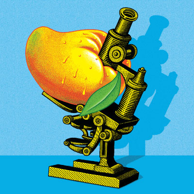 Консидер зе Манго