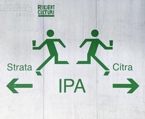 Ин зе Фаст Лейн