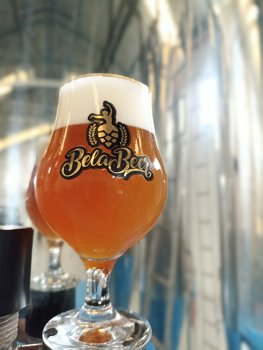 Бела Триппель