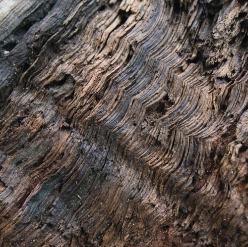 Шоколад Солтед Карамел Слипи Беар