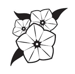 Харрис Найтро Коконут Портер