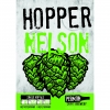 Хоппер Нельсон Совин