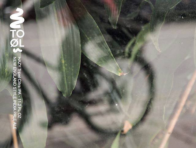 Хейзи Триппель Ситра ИПА