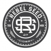 Ребел Роуз