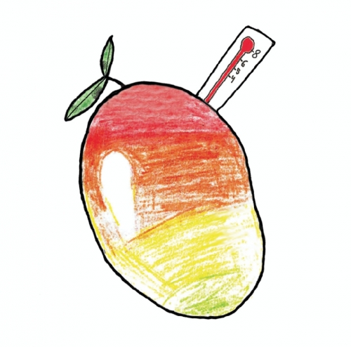 Мангофебер