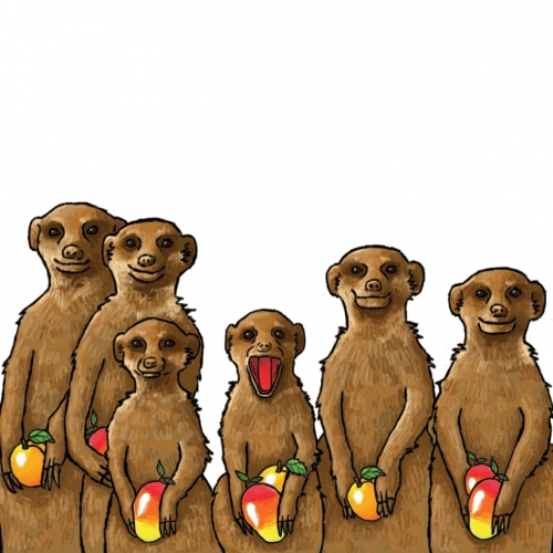 Миркат Маднесс