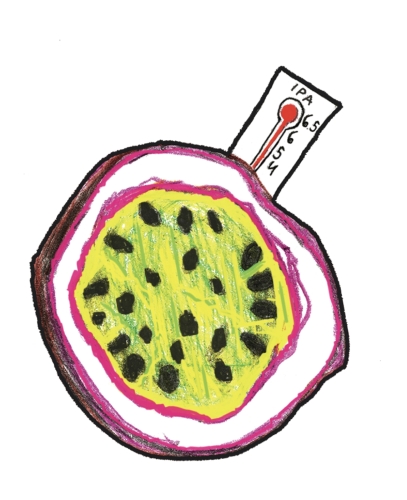 Пассионфебер