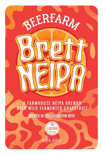 Бретт Нью-Ингленд ИПА 20'