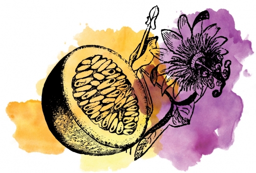 Кислый Пассифрут