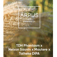 ТДХ Фантазм Х Нельсон Совин Х Мотуере Х Тайхеке ДИПА