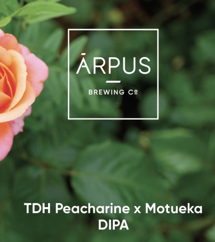 ТДХ Пичерин Х Мотеука ДИПА