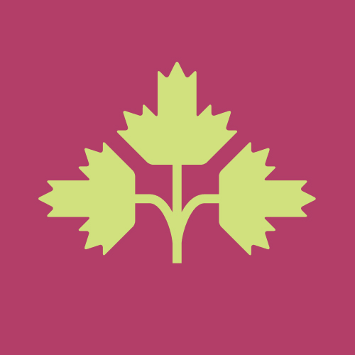 Фиделис ДИПА