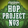 Хоп Проект #3