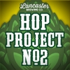 Хоп Проект #2