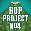 Хоп Проект #4