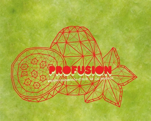 Профьюжн Гойав-Карамбол-Фрут Де Ла Пассион