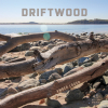 Дрифтвуд