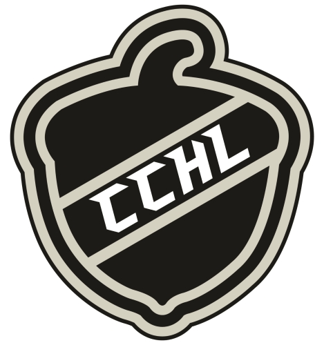 Кэпитал Сити Хоккей Лагер