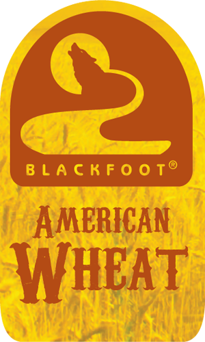 Американский Вит