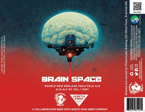 Брейн Спейс