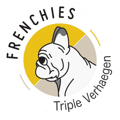 Триппель Верхаген