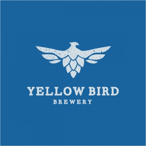 Эй-Пи-Эй П-51