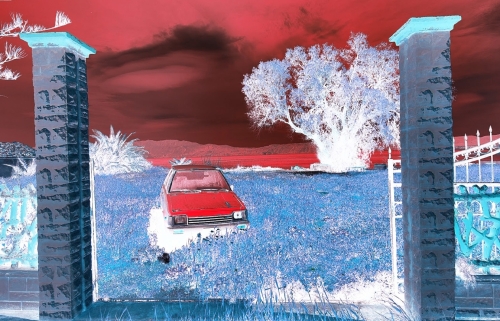 ДИПА ДДХ Нектарон Нельсон Совиньон