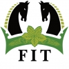 ФИТ Светло