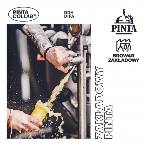 ПИНТА Коллаб ПЛ: Бровар Заклодовы