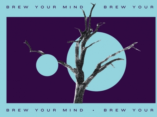 Ноу Мемориз