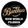 Нью-Ворлд Пилснер
