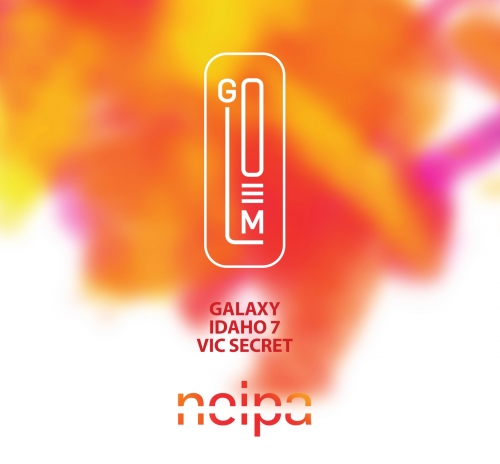 Нью-Ингленд ИПА (Гэлакси, Вик Секрет, Айдахо 7)