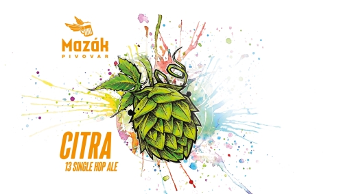 Цитра Сингл хоп Эль