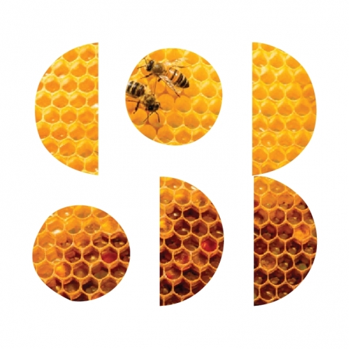 Ханиберд Пэйл Эль