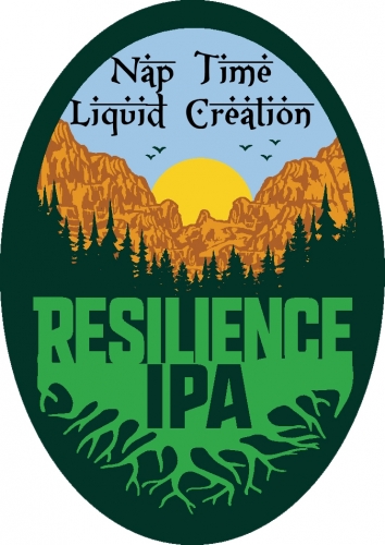 Резилиенс ИПА