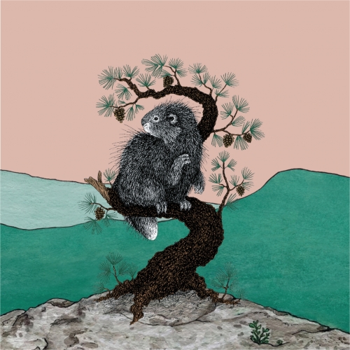 Мохонк (Драй Хоппед Пэйл Эль)