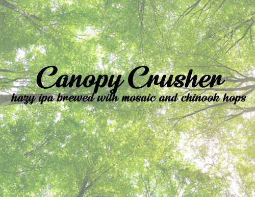 Кэнопи Крушер