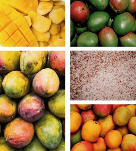 Солтед Мангифера